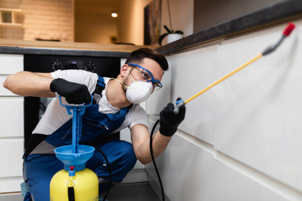 Best Mosquito Control Services  in Harlingen, TX