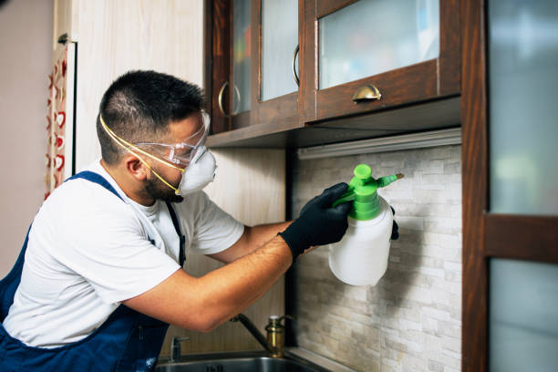 Best Commercial Pest Control Services  in Harlingen, TX