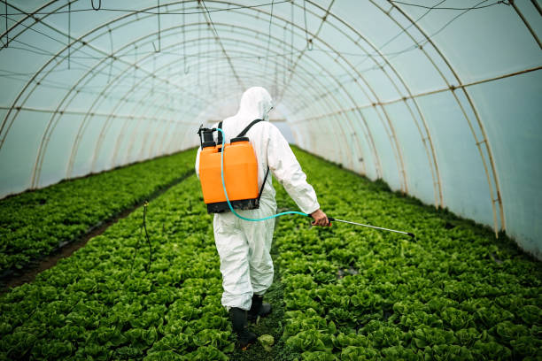 Best Affordable Pest Control Services  in Harlingen, TX