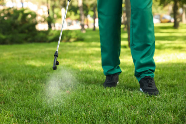 Best Bed Bug Extermination  in Harlingen, TX
