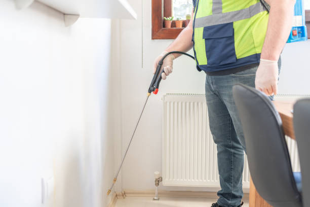 Best Termite Control Services  in Harlingen, TX