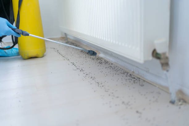 Best Wildlife Control Services  in Harlingen, TX